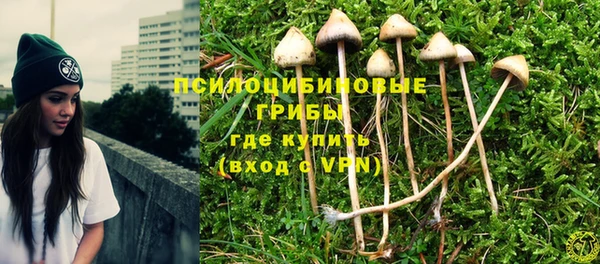 mdpv Мегион