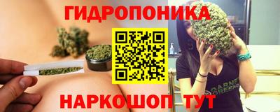 тгк Будённовск