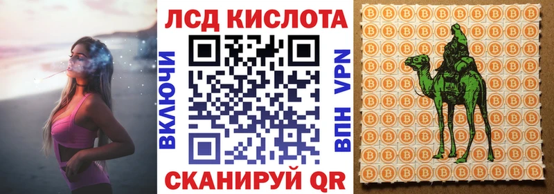 дарнет шоп  Екатеринбург  Марки NBOMe 1,5мг 