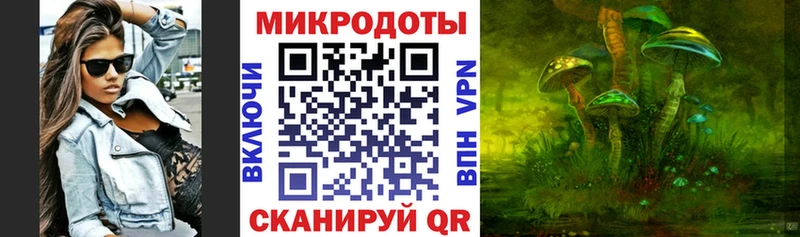 купить   Екатеринбург  Псилоцибиновые грибы Cubensis 